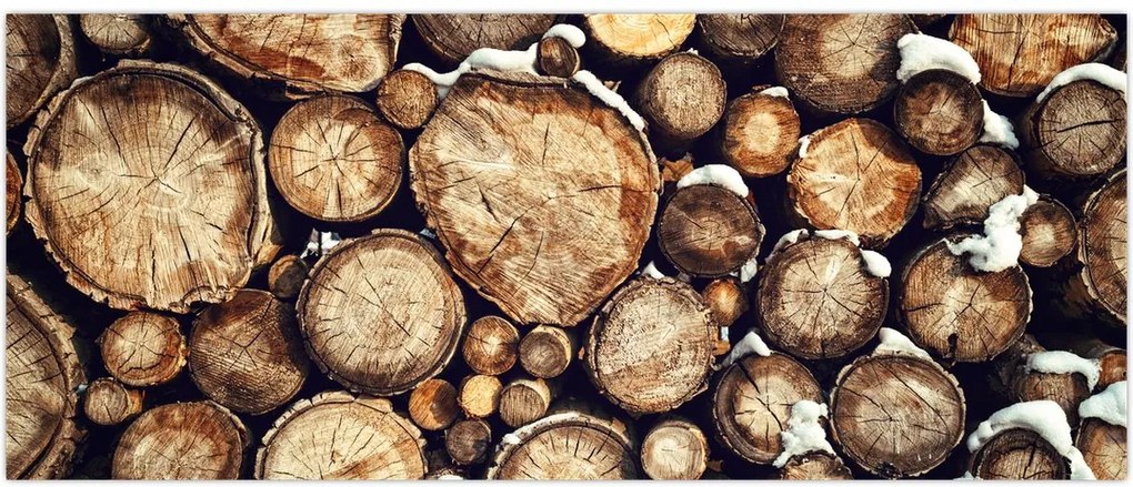 Tablou - Lemn în zăpadă (120x50 cm)