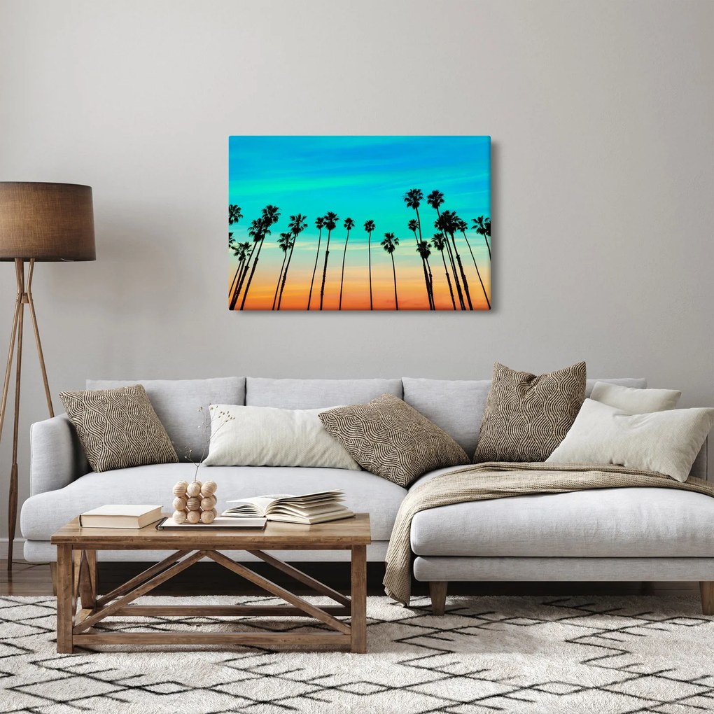 Tablou - California (90x60 cm)