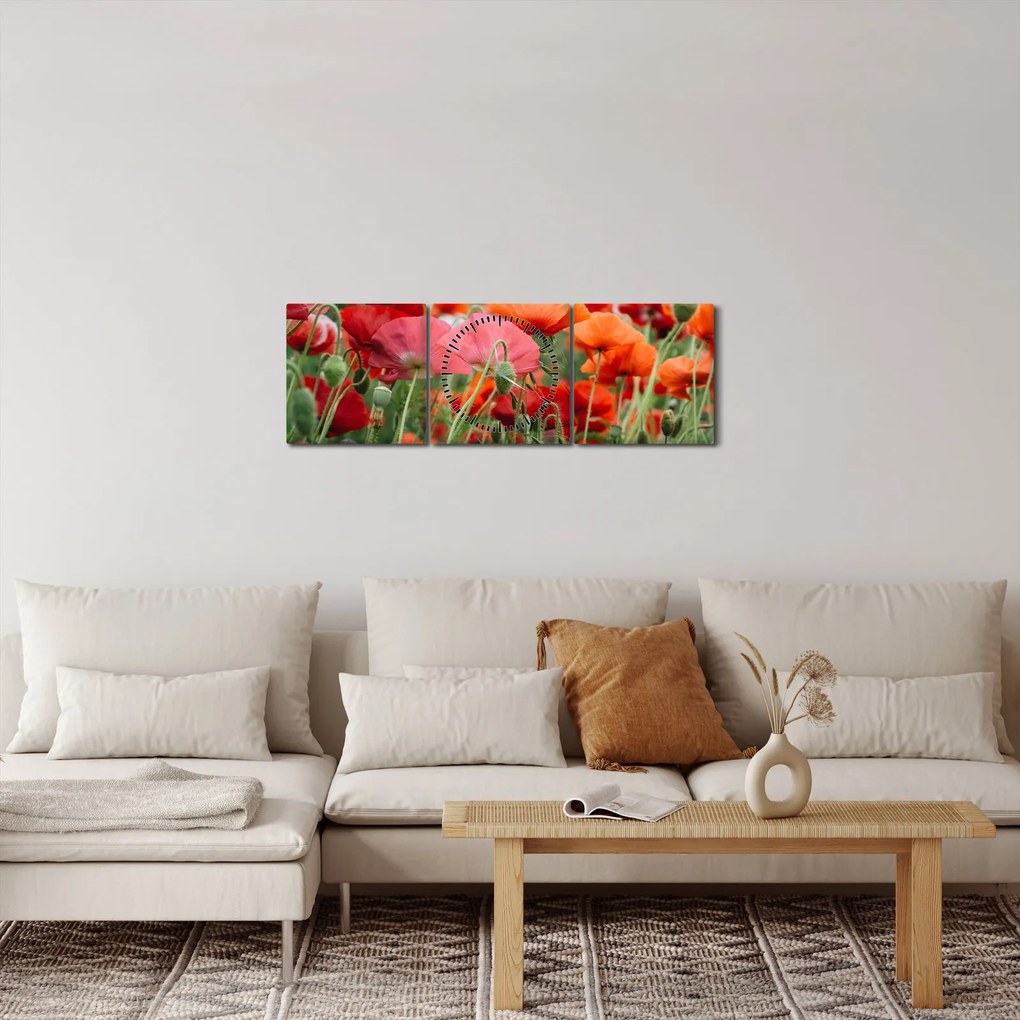 Tablou din câmp cu maci (cu ceas) (90x30 cm)