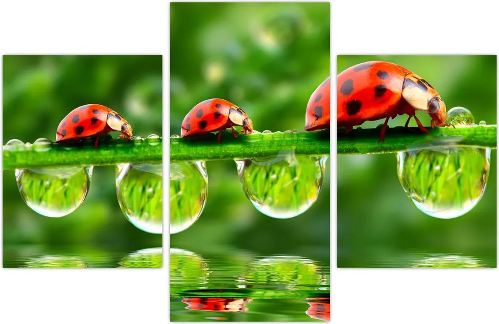 Tablou - Soarele celor șapte sori (90x60 cm)