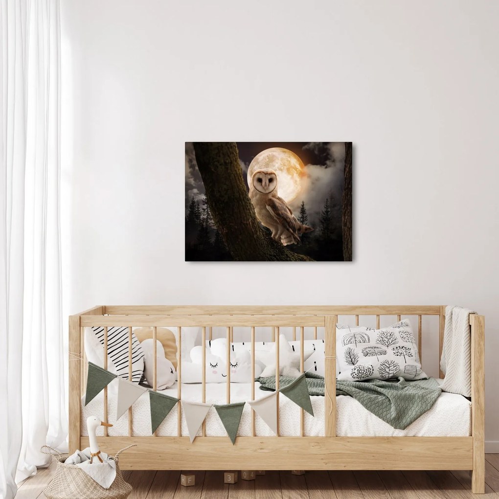 Tablou cu bufnița (70x50 cm)