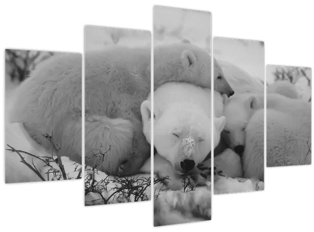 Tablou - Urși polari, alb-negru (150x105 cm)