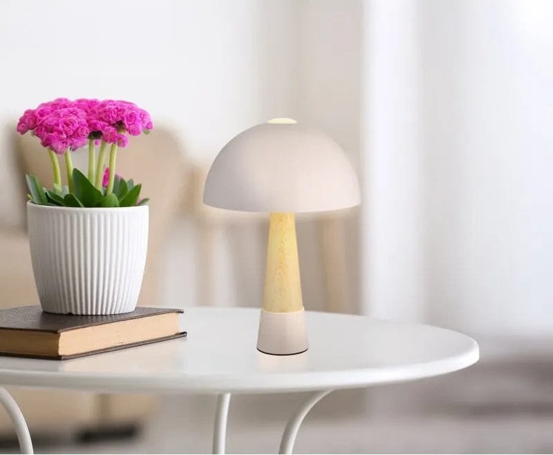 Veioza/Lampa de masa stil nordic PAULIN sampanie