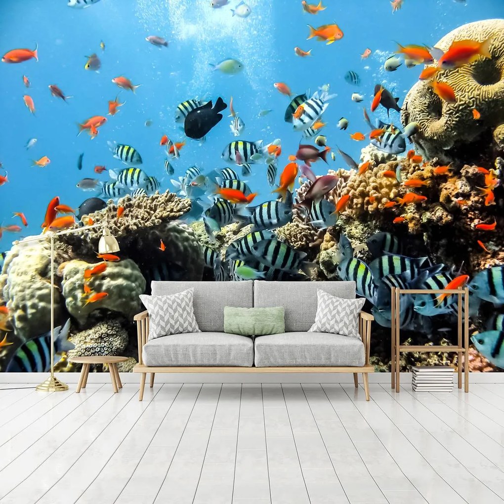 Fototapet - Recif de corali (152,5x104 cm)