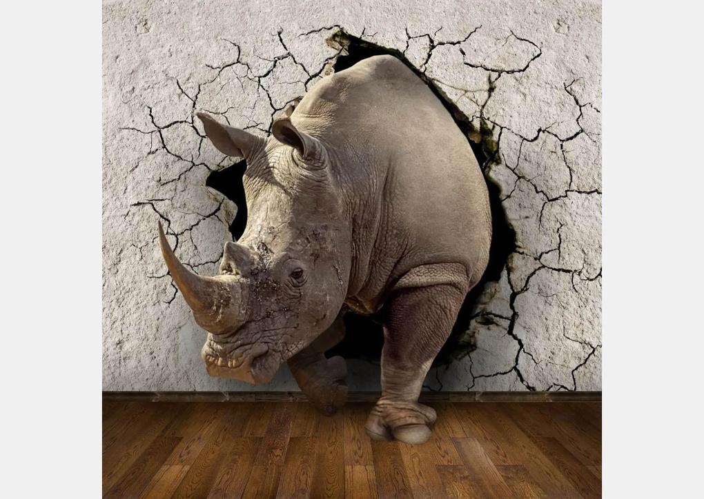 Fototapet 3D. Rinocer spargand peretele. Art.030183