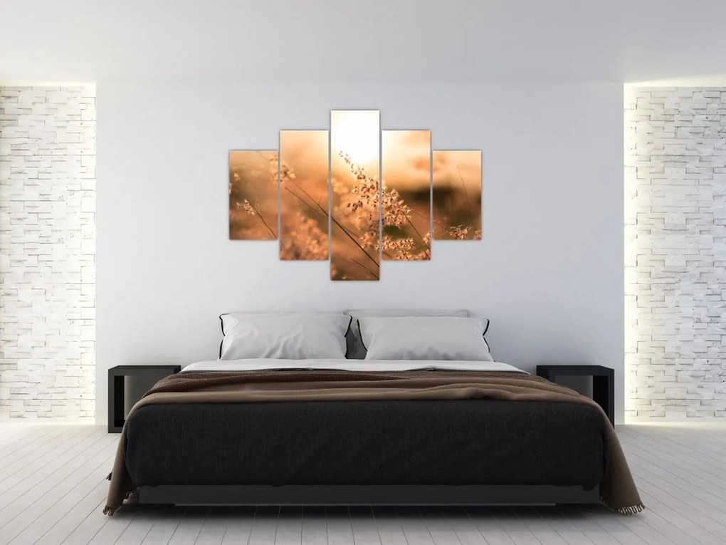 Tablou - Iarbă la soare (150x105 cm)