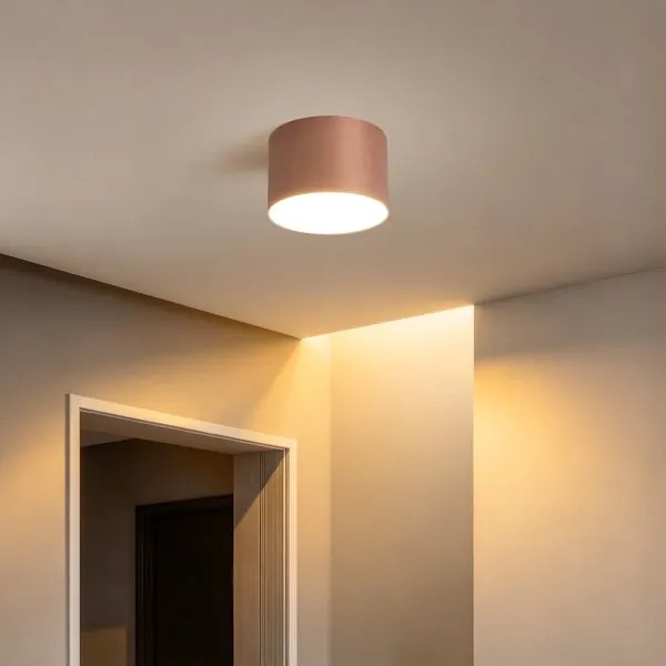 BRILAGI - Plafonieră pentru baie FORIS LED/9W/230V Ø 9 cm bronz IP44