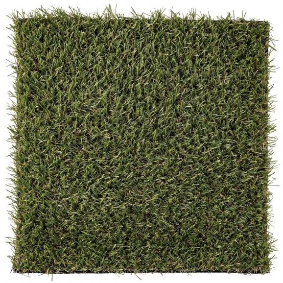 Gazon artificial Piccadilly 20mm 2500x100 cm, Yes