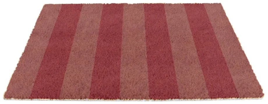 Covoraș de intrare din fibre de nucă de cocos 40x60 cm Pink Stripe – Artsy Doormats