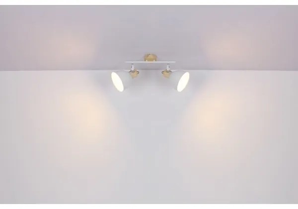 Globo 54018-2 - Lampă spot WIHO 2xE27/40W/230V