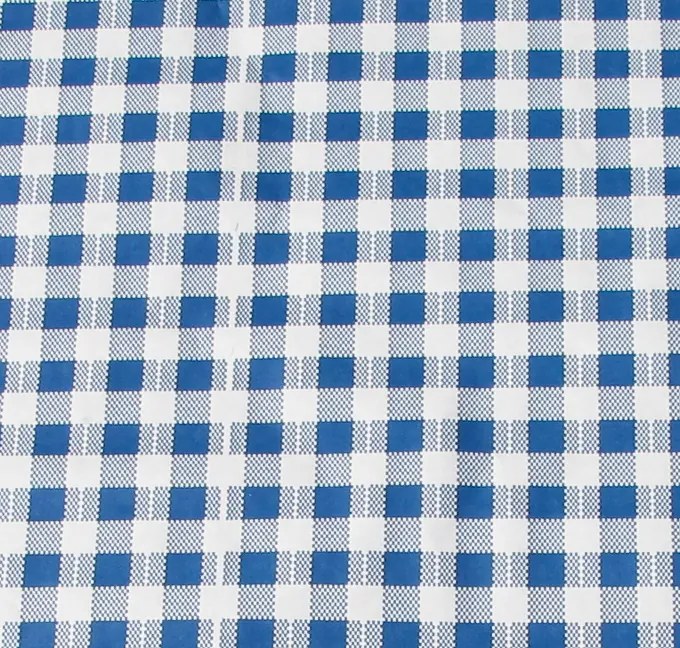 Fata de masa albastra