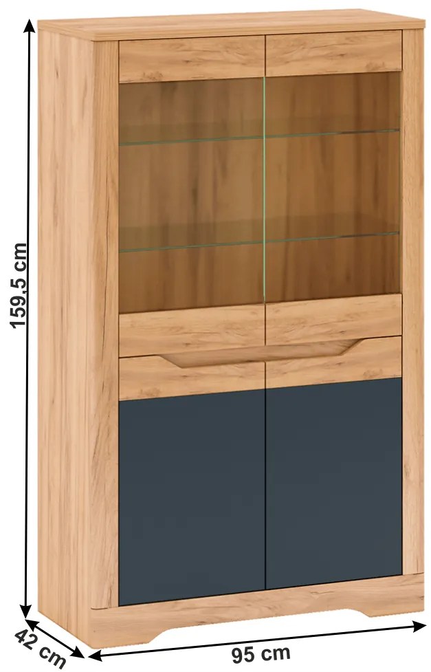Vitrina C, stejar craft auriu / grafit gri, FIDEL