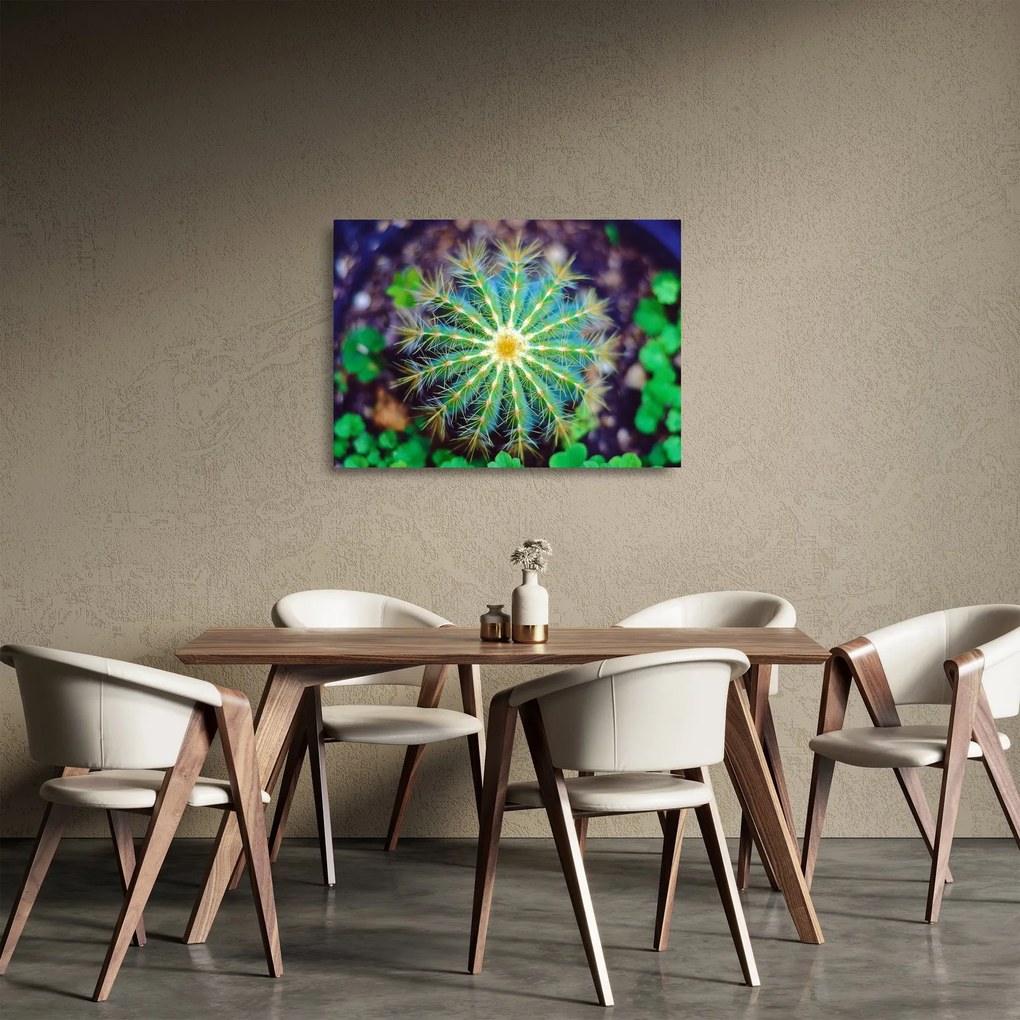 Tablou pe sticlă cu cactus (70x50 cm)