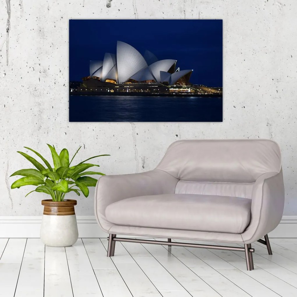 Tabloul Sydney nocturn (90x60 cm)