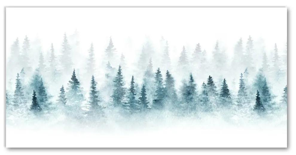 Tablou pe panza canvas Pom de Crăciun. Zăpadă