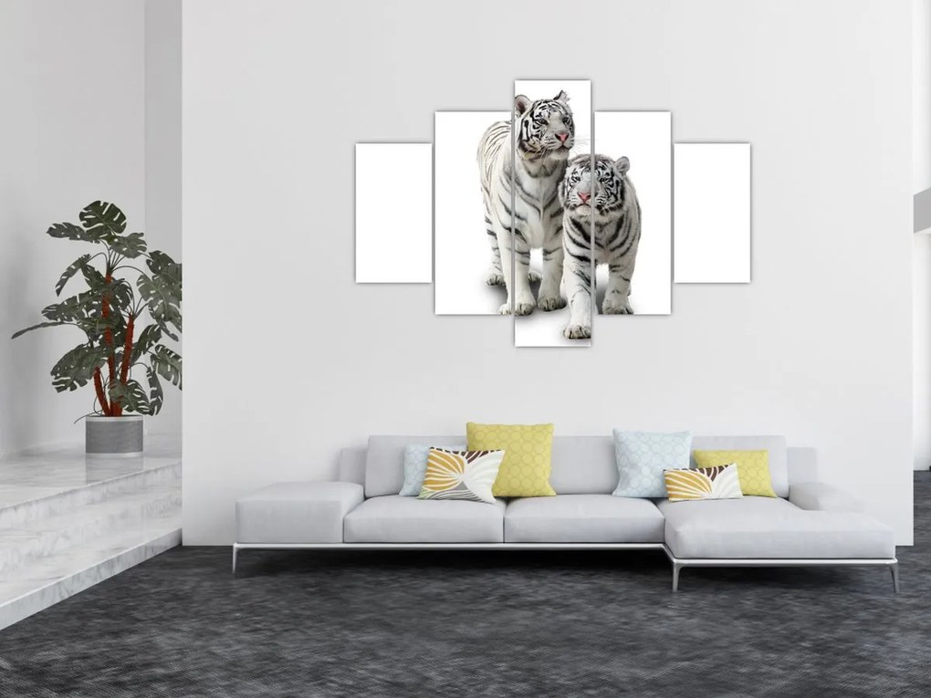 Tablou - Tigrul alb (150x105 cm)