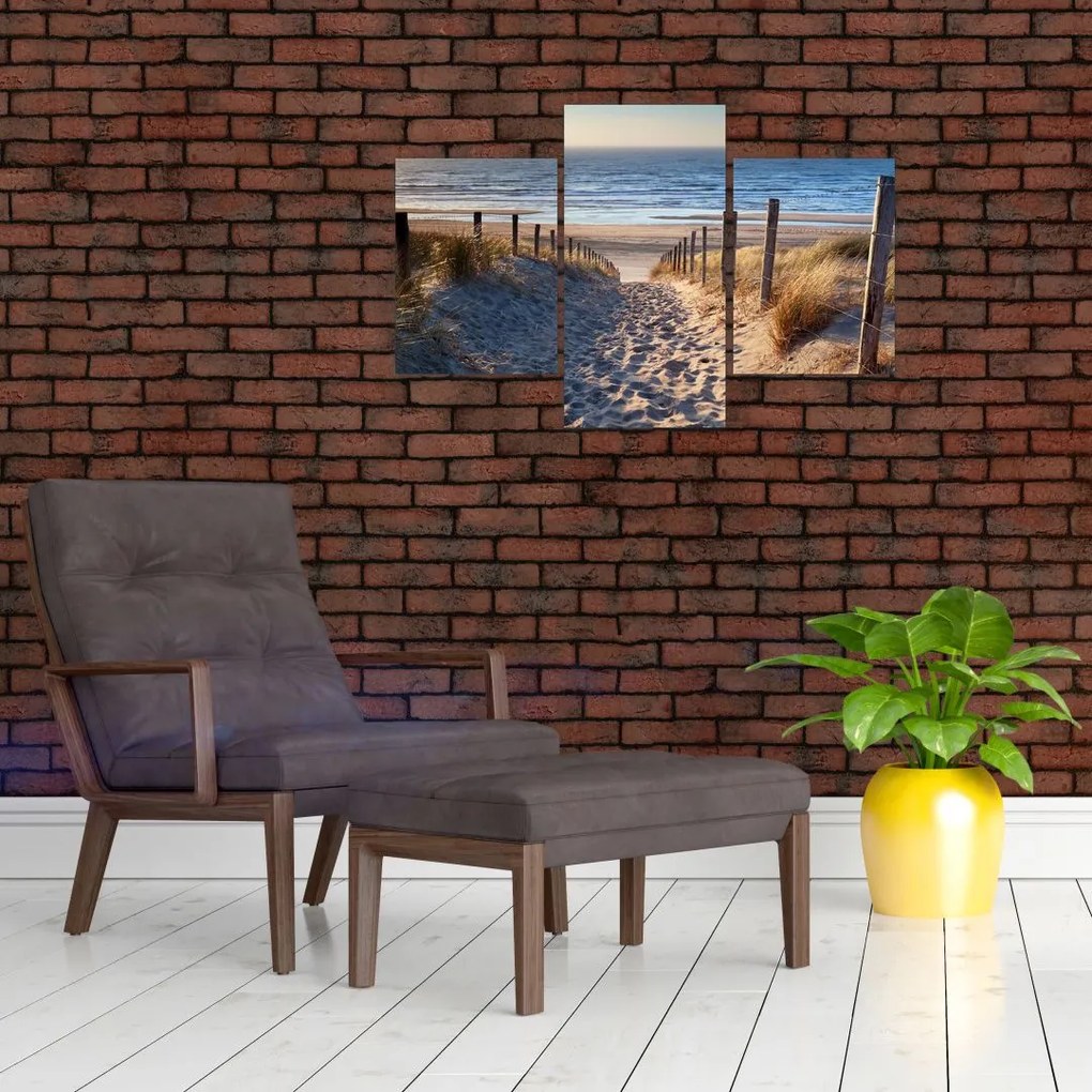 Tablou - Drum spre plaja din Marea Nordului, Țările de Jos (90x60 cm)