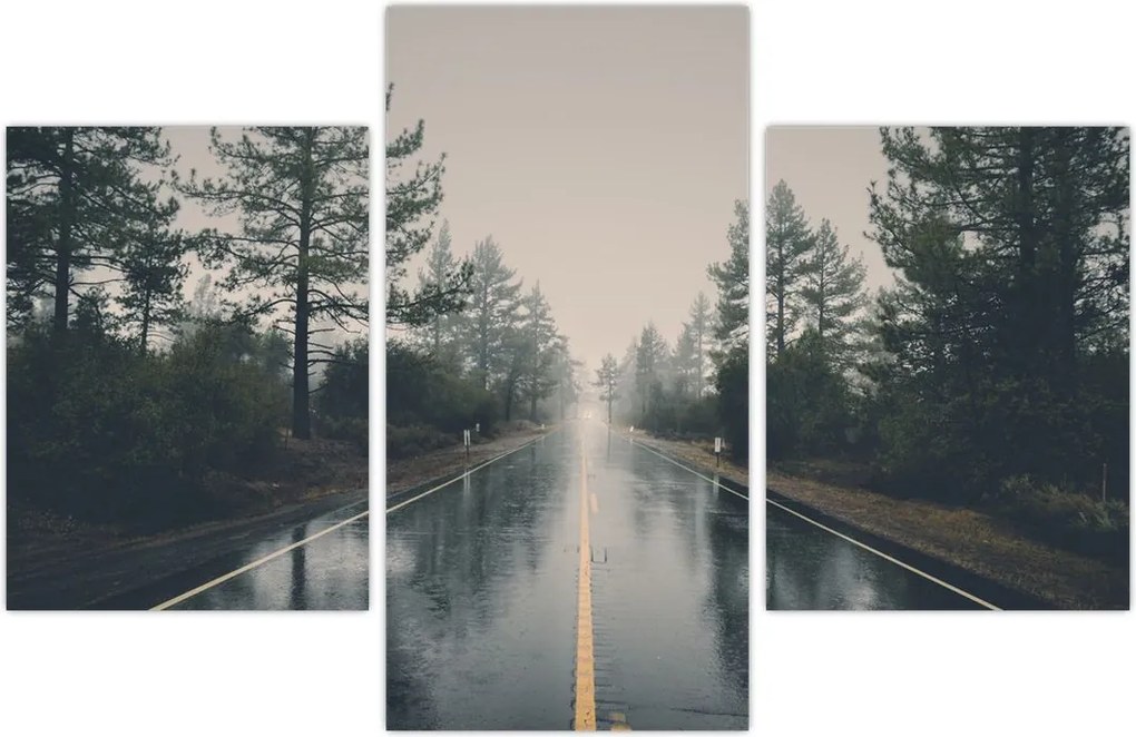 Tablou - Drum în ploaie (90x60 cm)