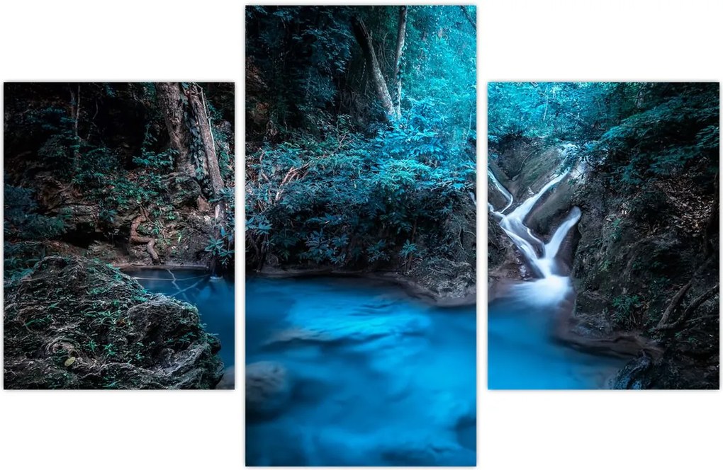 Tablou - Noaptea magică în pădurea tropicală (90x60 cm)