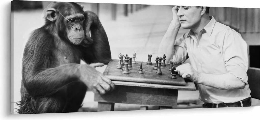 Tablou - Circ 2 (120x50 cm)