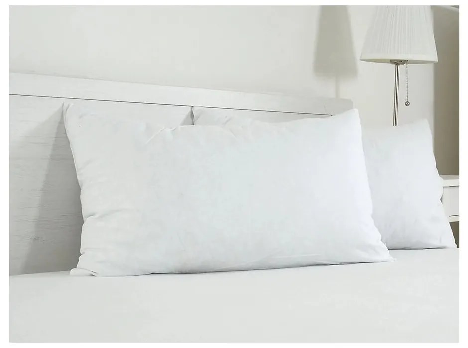 Față de pernă din bumbac 45x75 cm Visco – B.E.S.