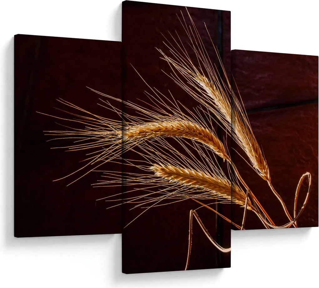 Tablou - Spic în prim plan (90x60 cm)
