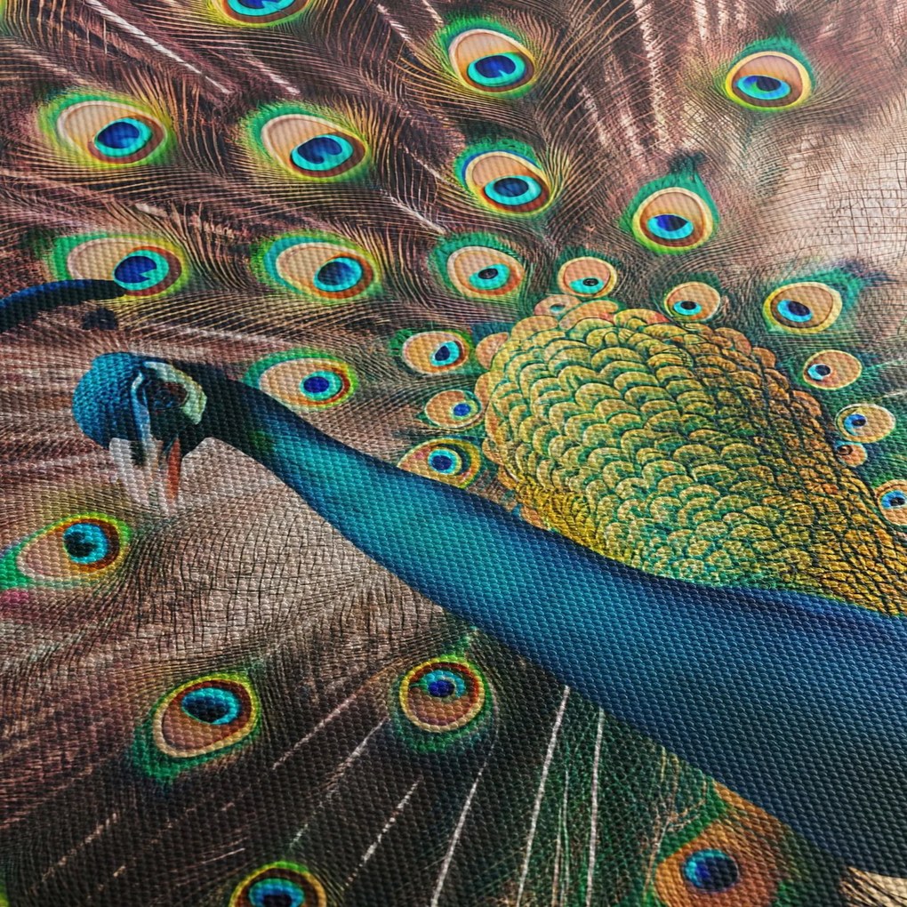 Tablou - Păun (70x50 cm)