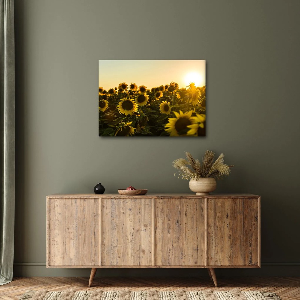 Tablou cu lan de floarea soarelui (70x50 cm)