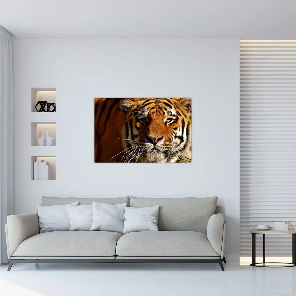 Tablou cu tigrul (90x60 cm)