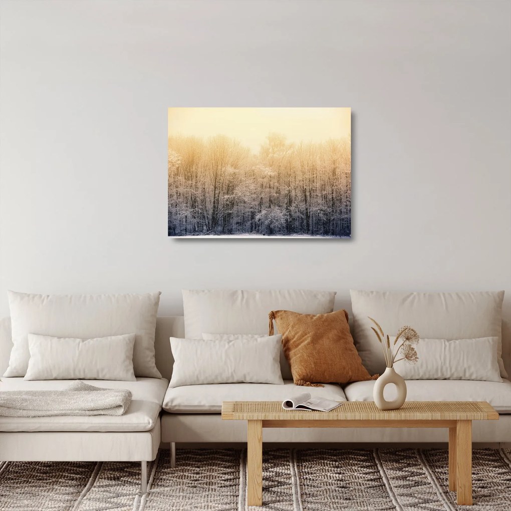 Tablou pe sticlă cu pădure geroasă (70x50 cm)