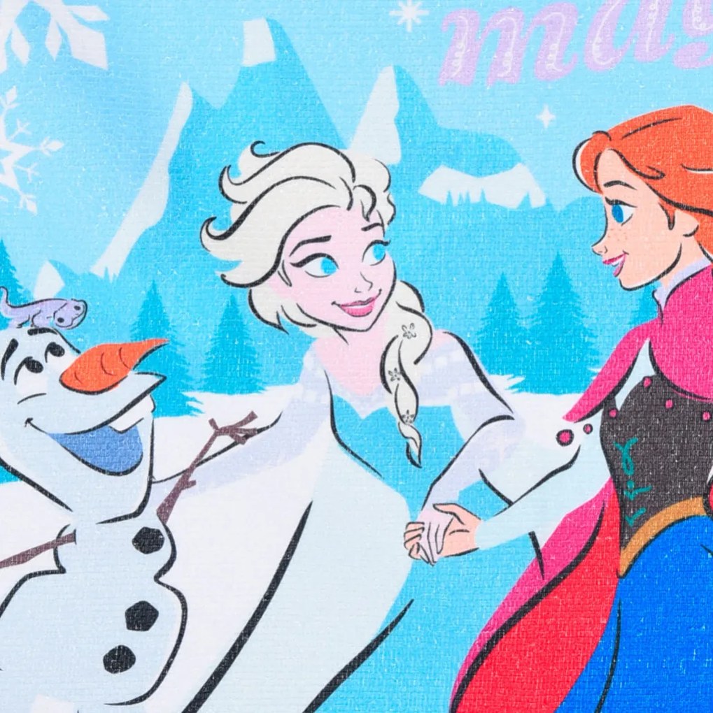 Disney Regatul de gheață Magic prosop, prosop pentru față, 40x30 cm