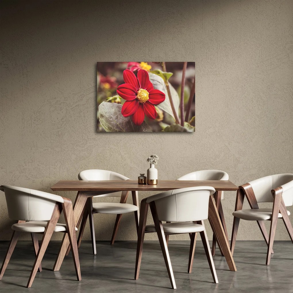 Tablou cu floare (70x50 cm)