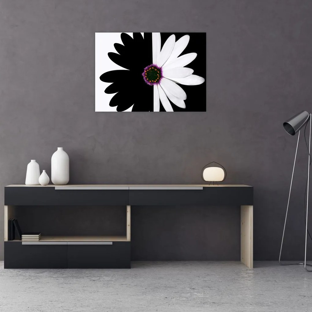 Tablou pe sticlă - Floare, alb- negru (70x50 cm)