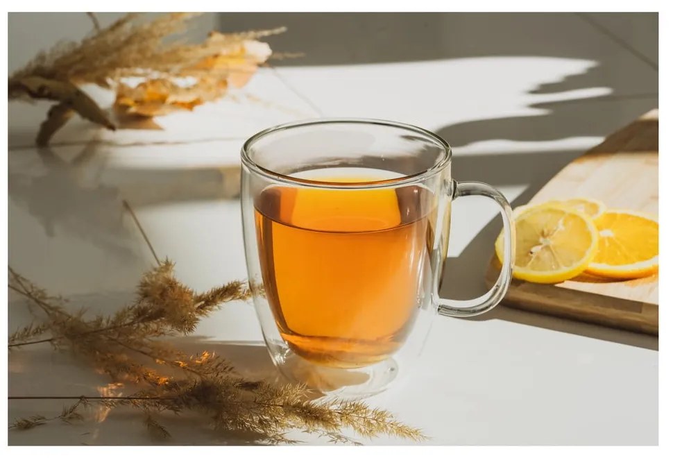 Cană cu perete dublu Vialli Design Molly, 480 ml