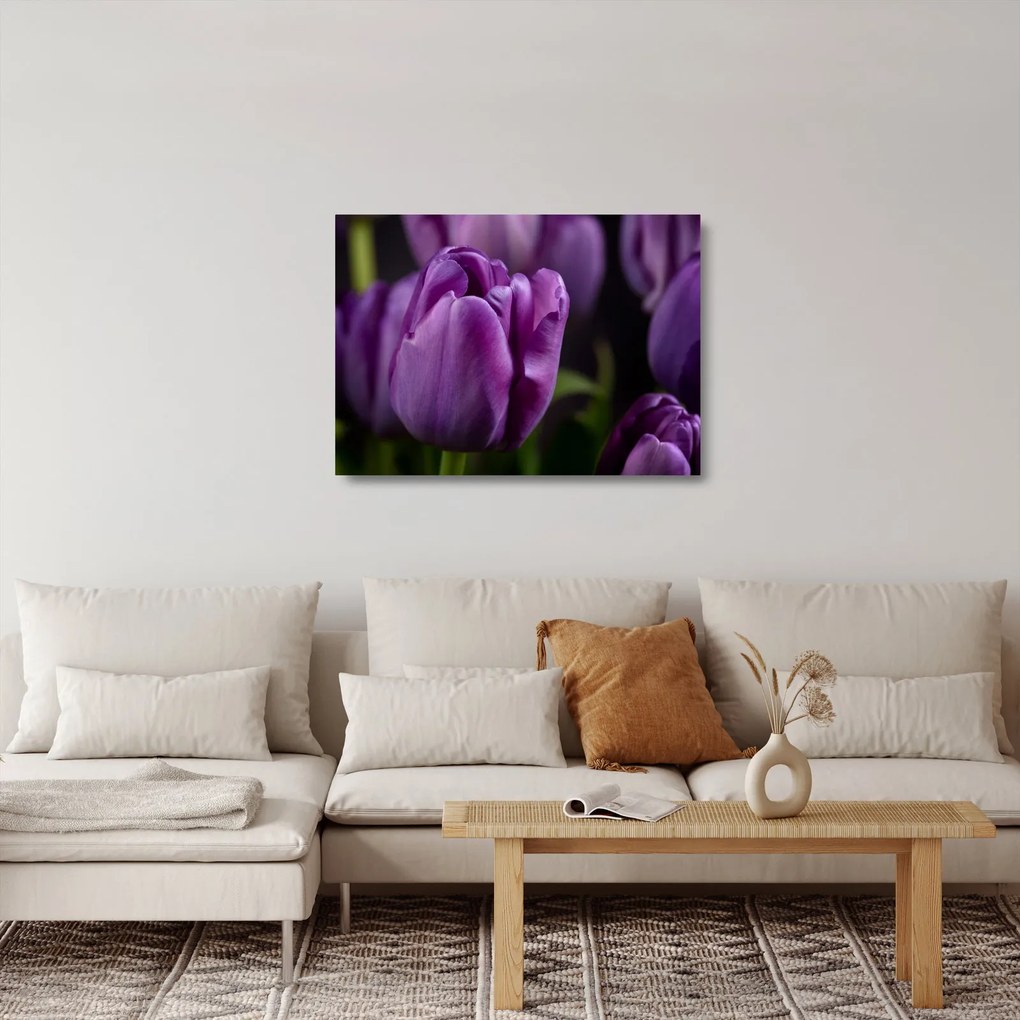 Tablou pe sticlă cu flori de lalele (70x50 cm)