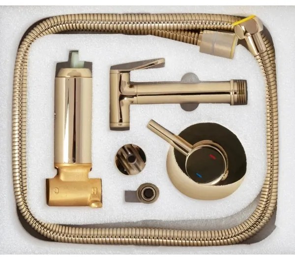 REA-B8979 - Baterie bideu LUNGO cu duș, montaj încastrat, auriu