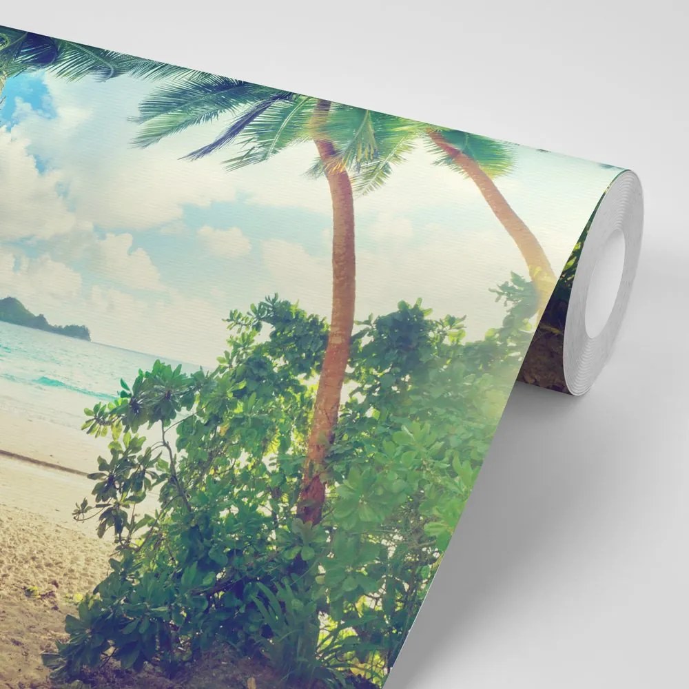 Fototapet apus pe insula Seychelles