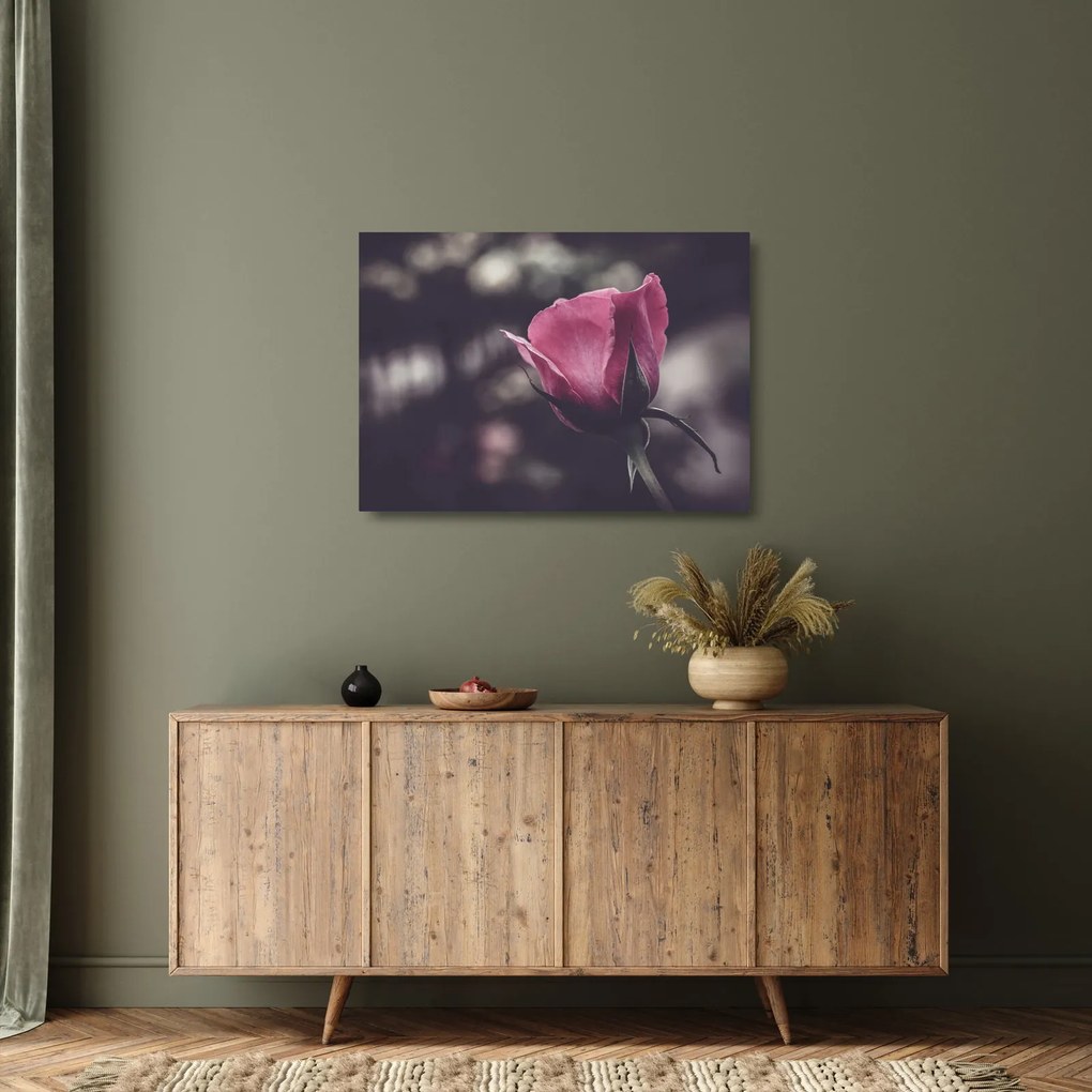 Tablou pe sticlă - Detaliu florii de trandafir (70x50 cm)