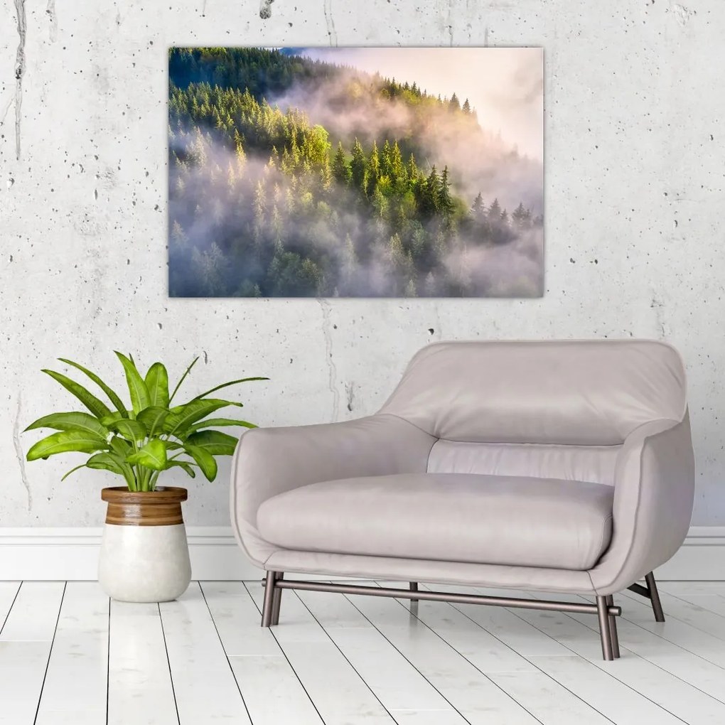 Tablou peisajului montan (90x60 cm)