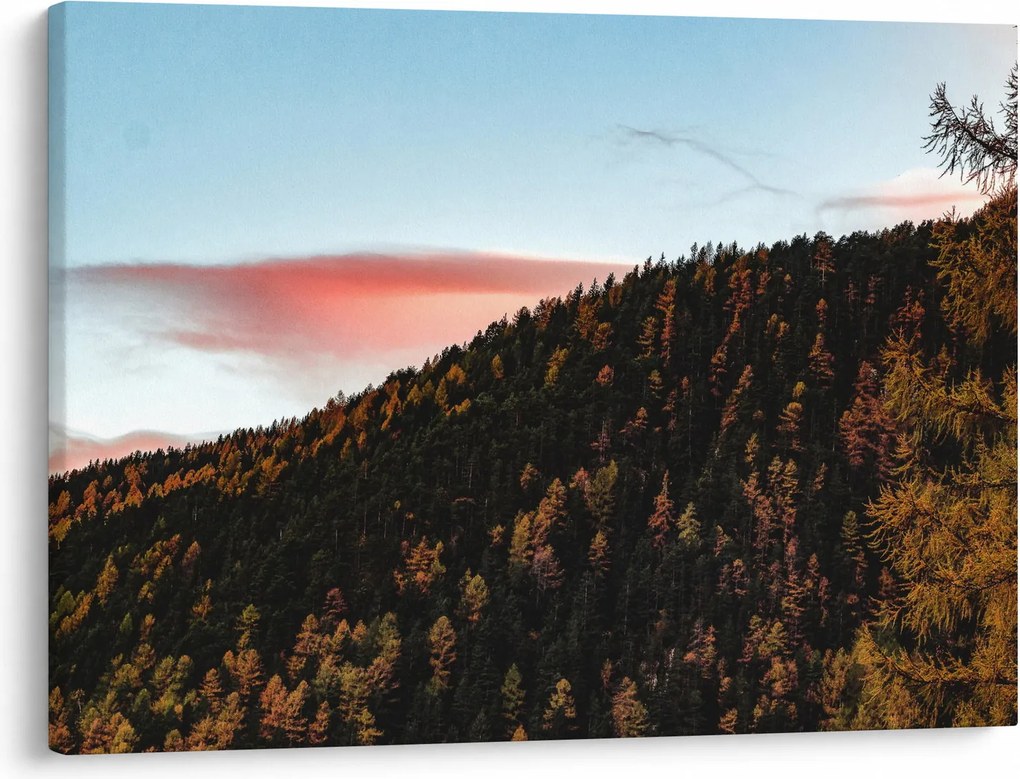 Tablou - Zori de zi (70x50 cm)