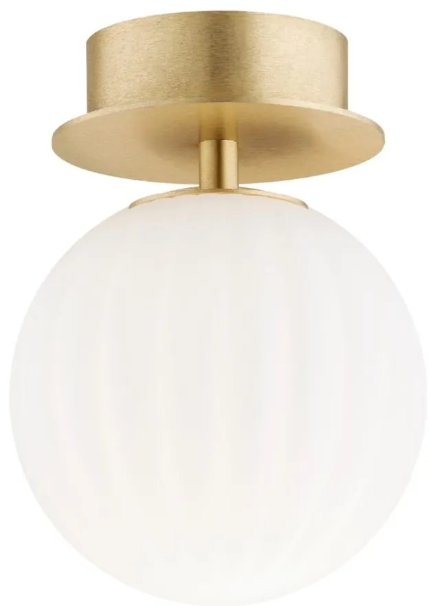 Aplica de perete sau tavan design modern Paloma 12cm