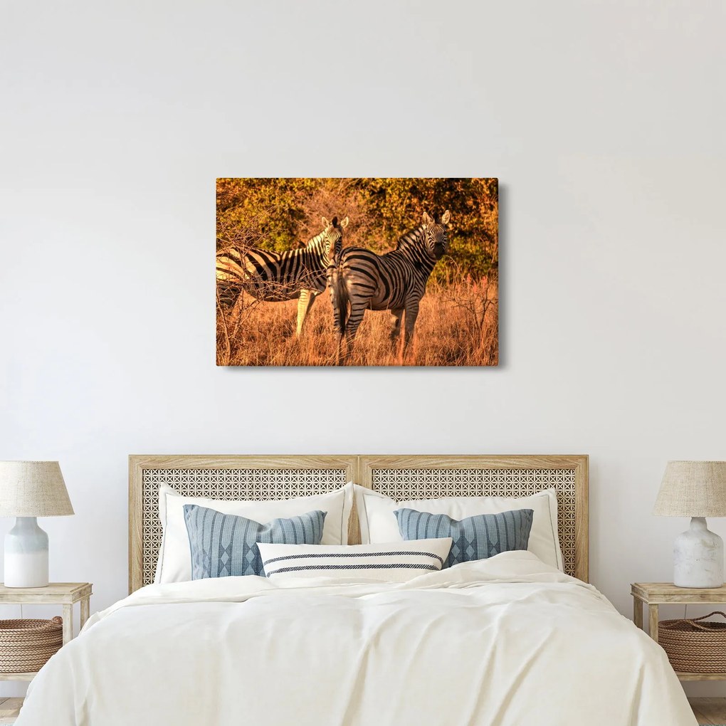 Tablou cu zebre (90x60 cm)