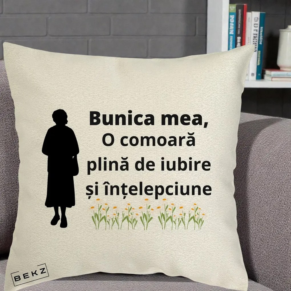 Cadou pentru Bunica - Perna Personalizata Bunica Mea Comoara Iubire Intelepciune Silueta cu Nepoata, 40x40 cm, Ecru, Husa Detasabila, Perna Inclusa, BEKZ®