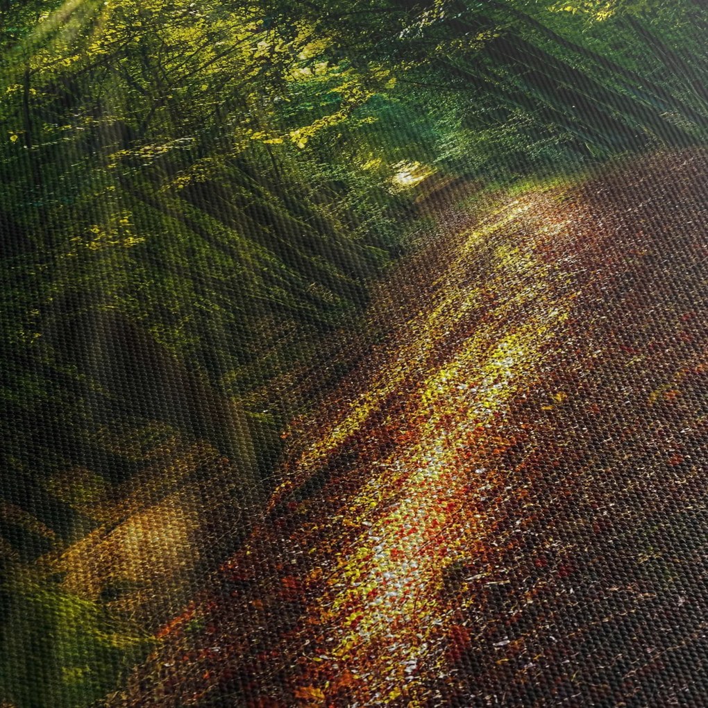 Tablou cu poteca prin pădure (cu ceas) (90x30 cm)