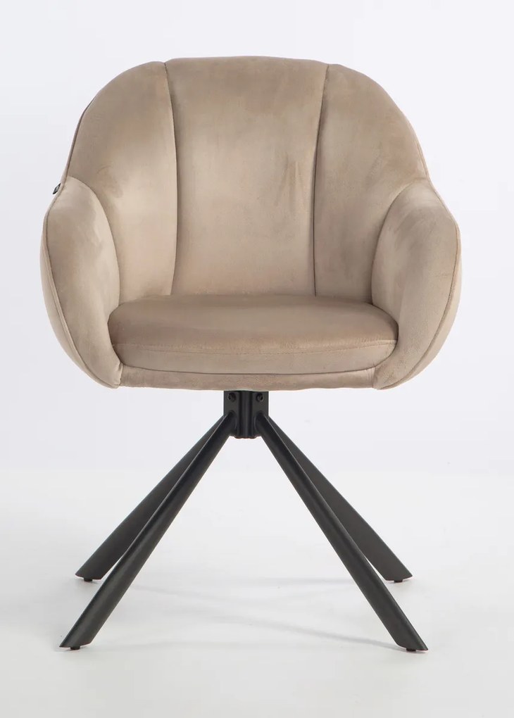 HR2055 BAZĂ STEA Scaun Latte din Catifea cu Bază Neagră