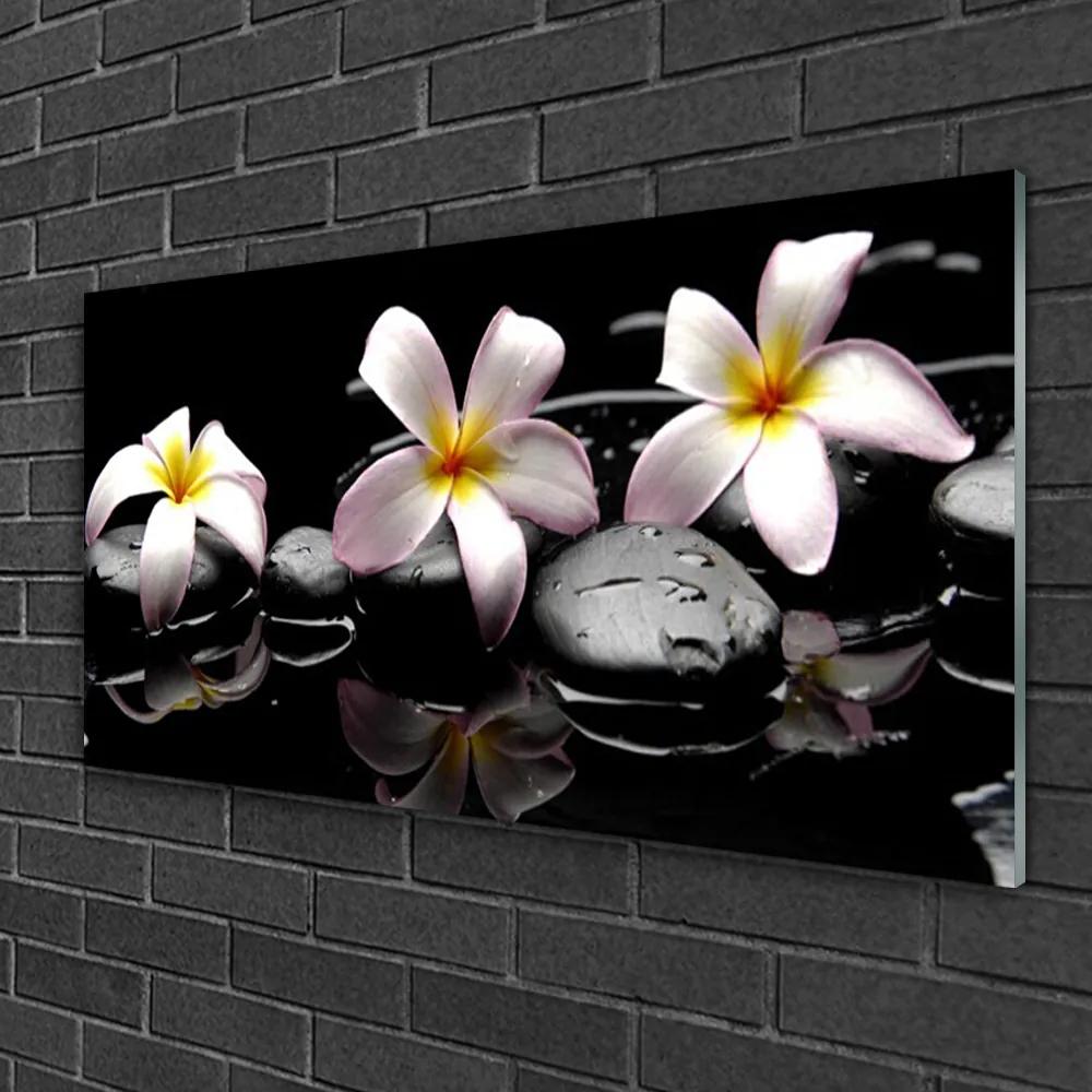 Tablouri acrilice Floare pietre Floral Alb Galben Negru
