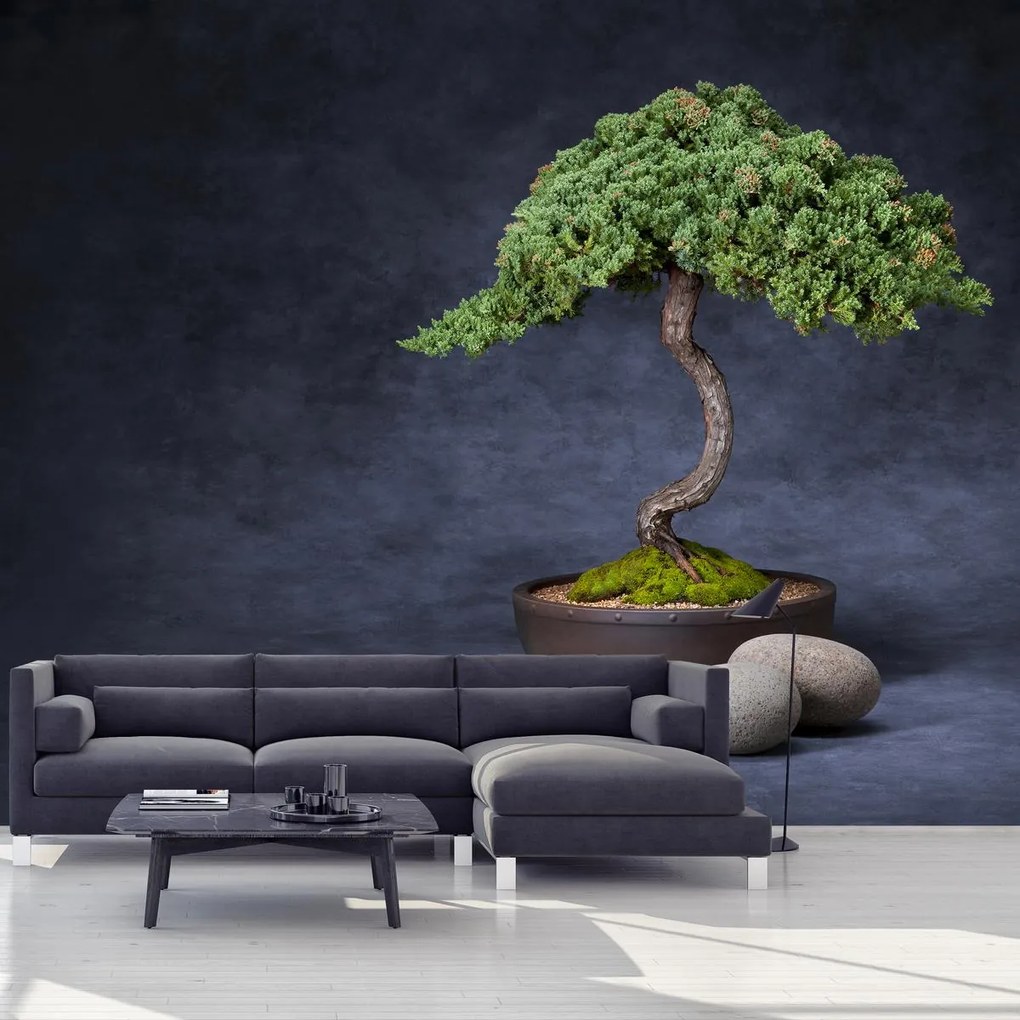 Fototapet - Bonsai (147x102 cm)