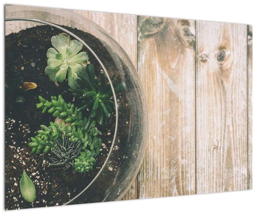Tablou - Terariu de sticlă (90x60 cm)
