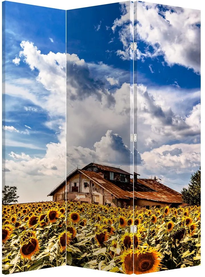 Paravan - Câmp de floarea soarelui (126x170 cm)