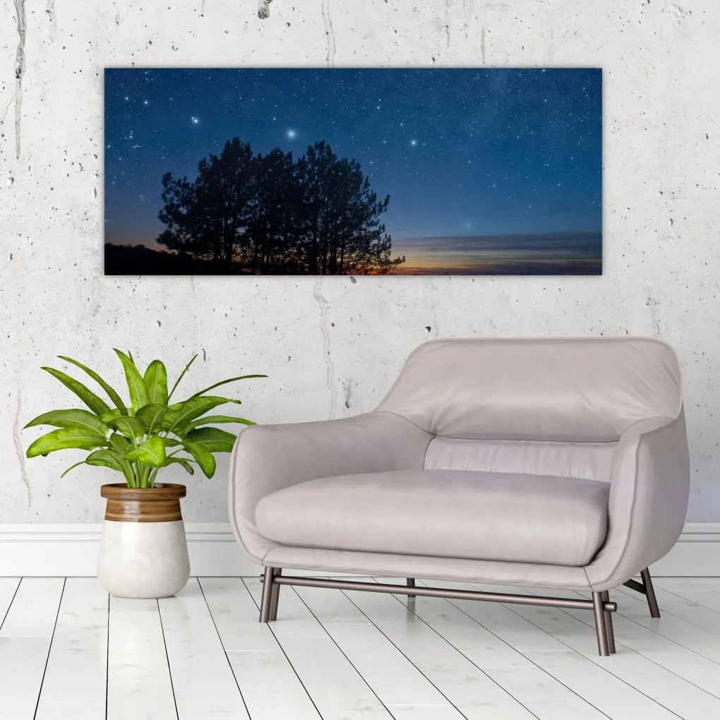 Tablou cu copaci noapte (120x50 cm)